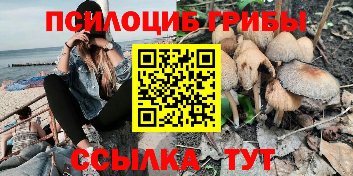 Псилоцибиновые грибы Cubensis Нальчик