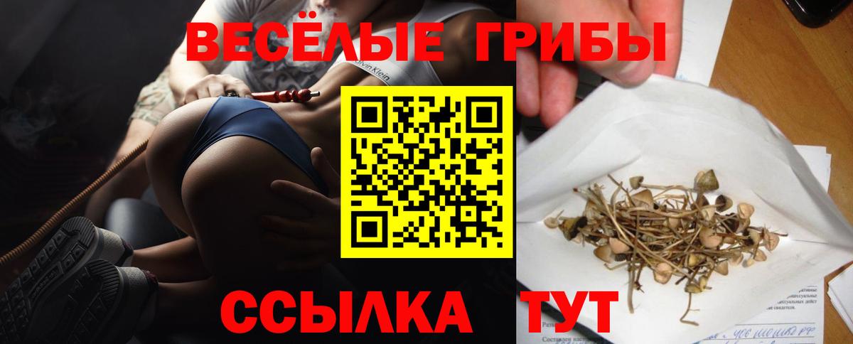Псилоцибиновые грибы Magic Shrooms  Вход с VPN  как найти наркотики  Нальчик 